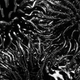 Freeform ferrofluids, beautiful dark chaos, swirling black frequency
